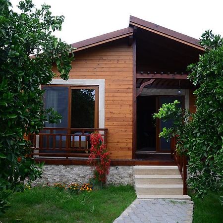 Villa Bilge Cirali Ruang foto