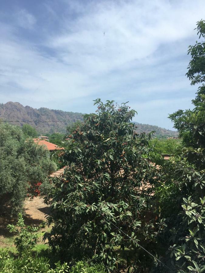 Villa Bilge Cirali Bagian luar foto