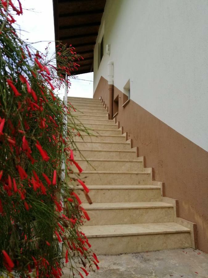 Villa Bilge Cirali Bagian luar foto