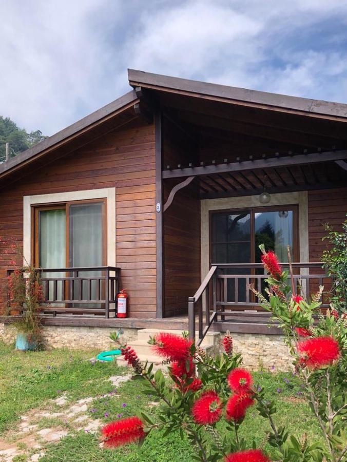 Villa Bilge Cirali Bagian luar foto