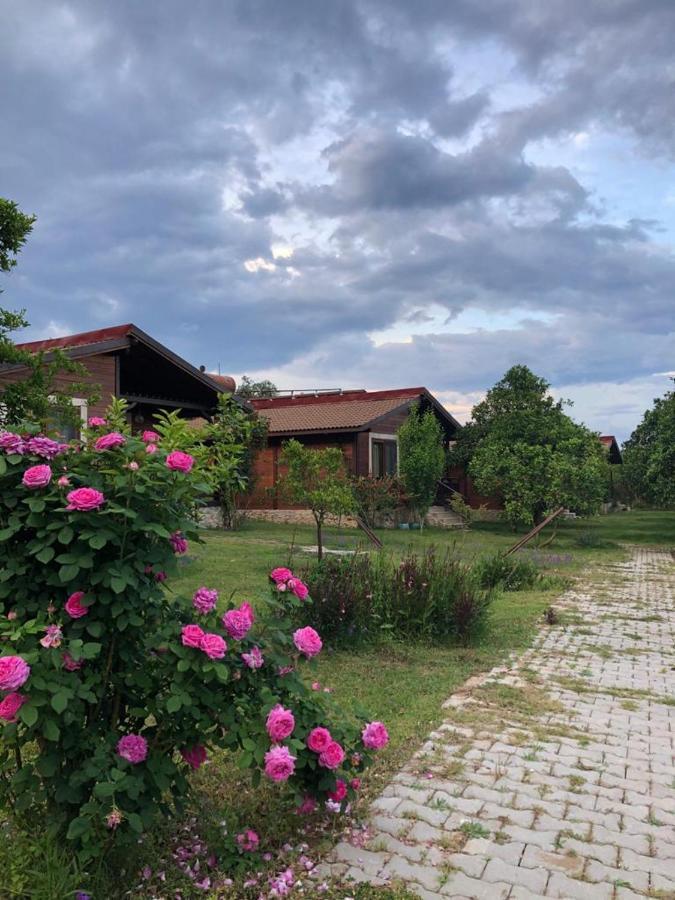 Villa Bilge Cirali Bagian luar foto