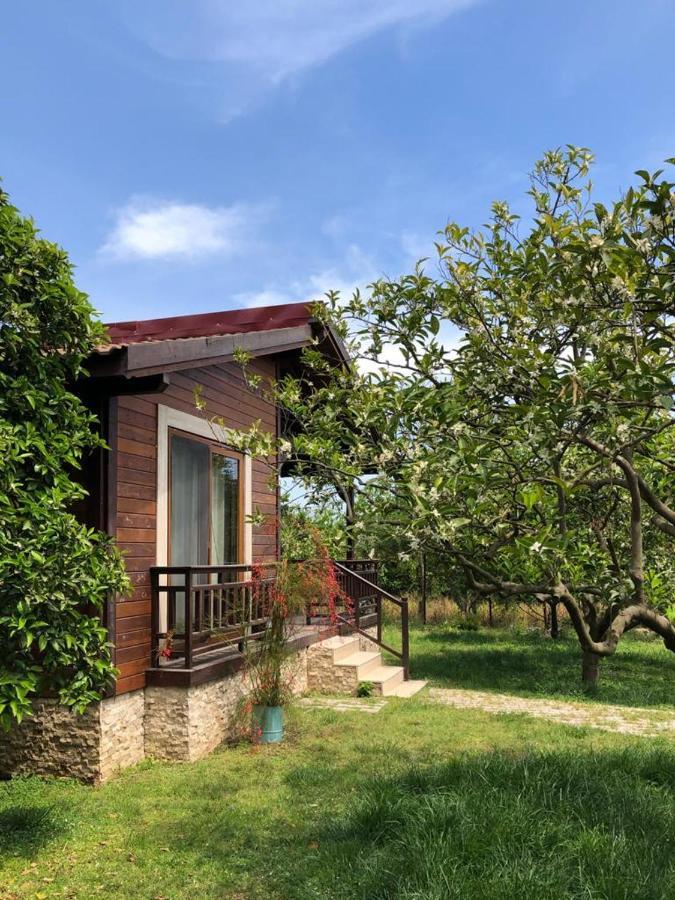 Villa Bilge Cirali Bagian luar foto