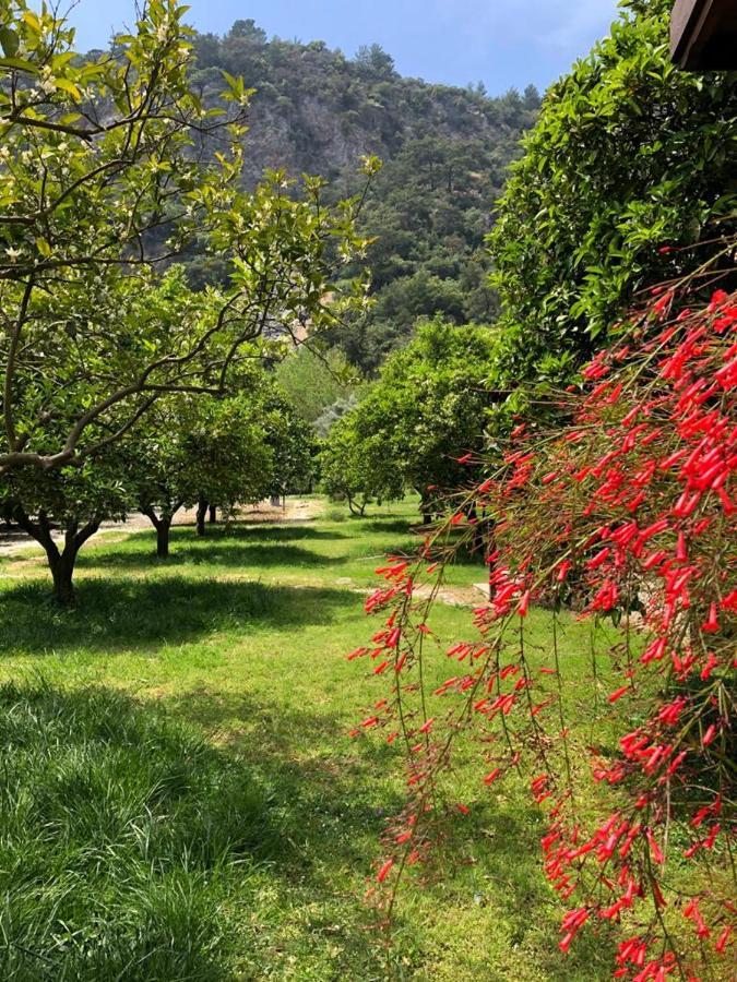 Villa Bilge Cirali Bagian luar foto