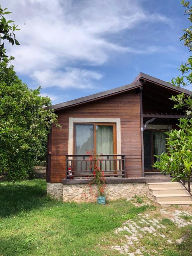 Villa Bilge Cirali Bagian luar foto